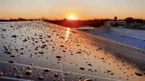 solar-panels-with-water-spray-at-sunset-2023-11-27-04-56-00-utc