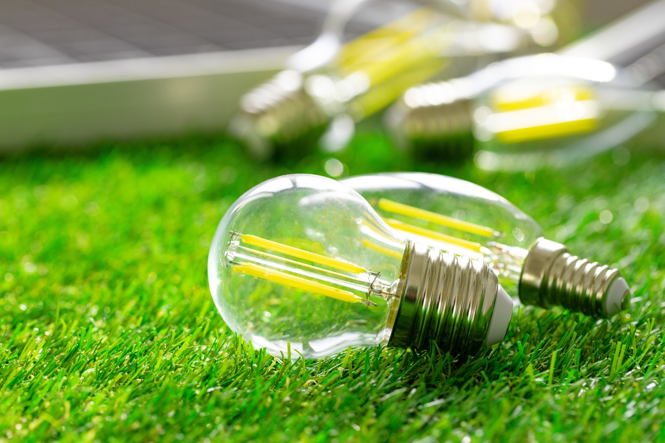 Read: National Energy Conservation Day