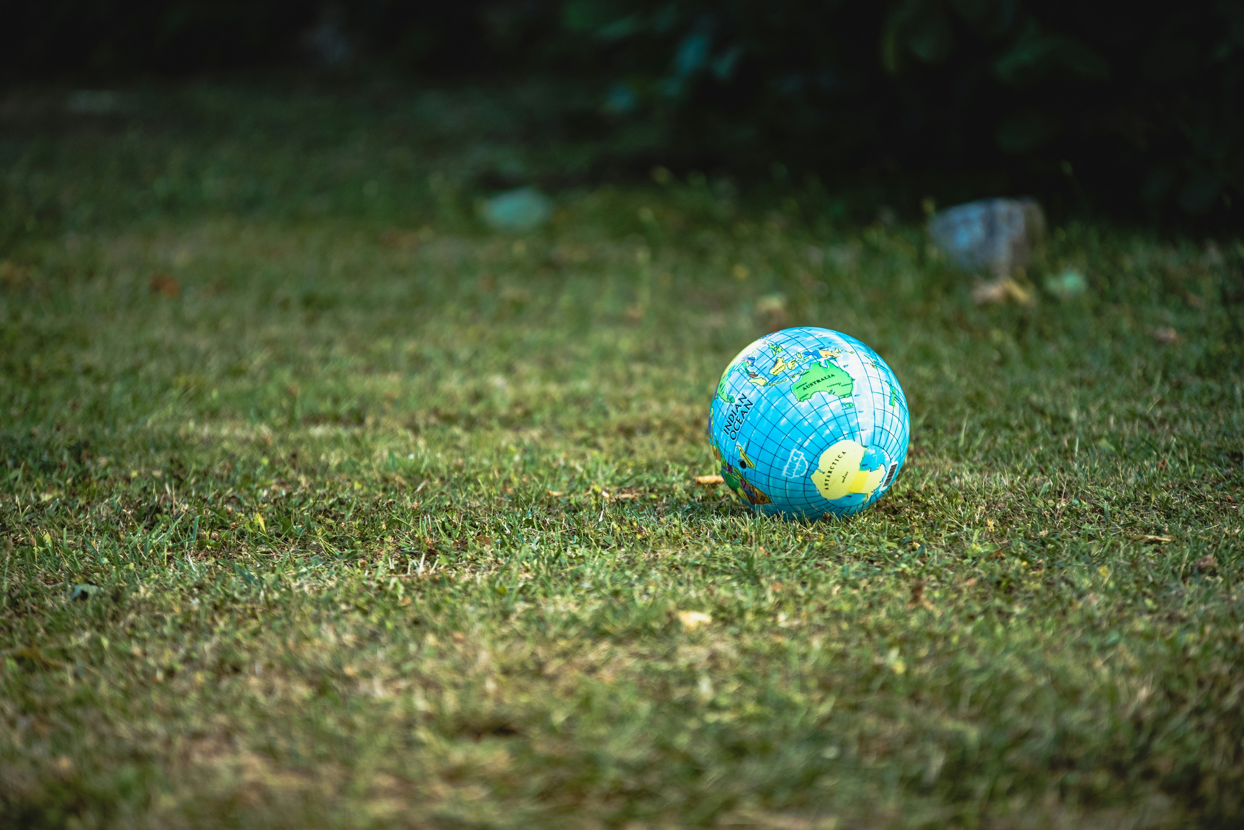 Read: The Environmental Impact of Solar Energy: Why Going Green Matters
