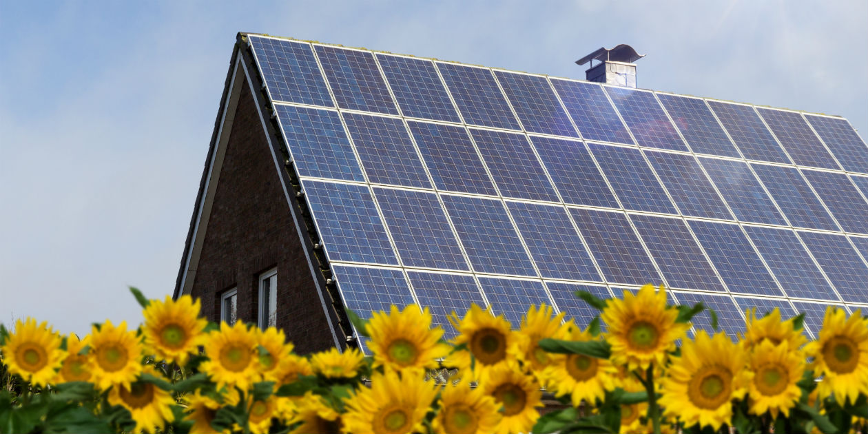 Read: Benefits of Solar Panels