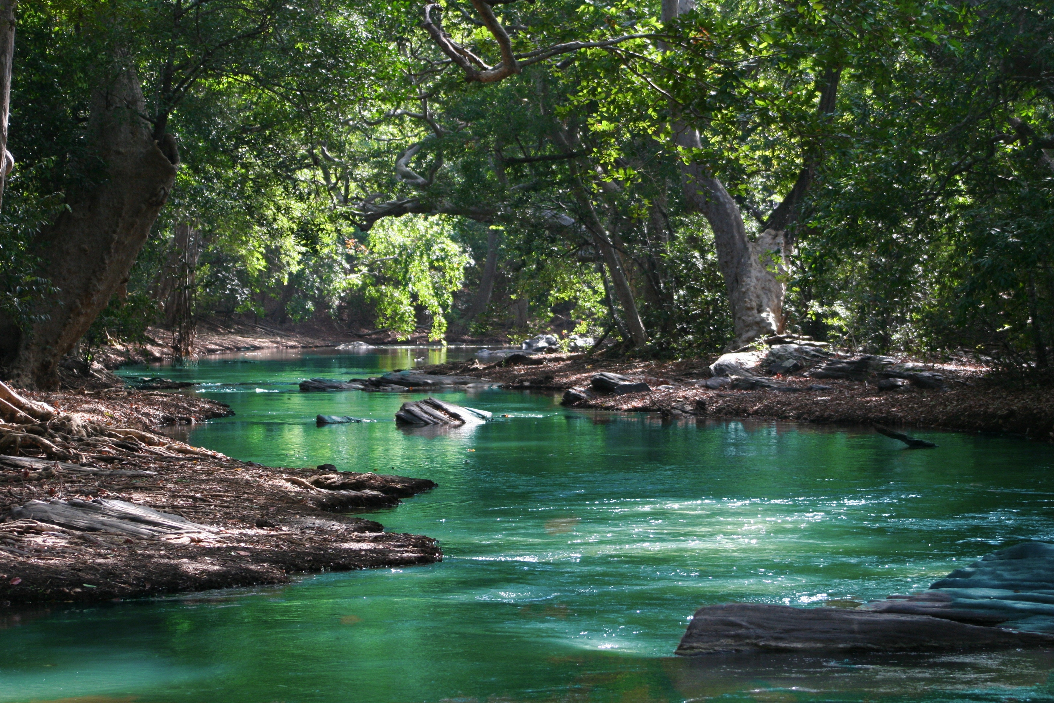 Read: World Environment Day